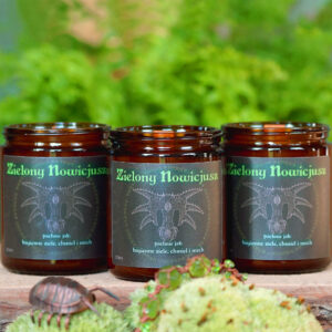 Zielony Nowicjusz - Zestaw 3szt.